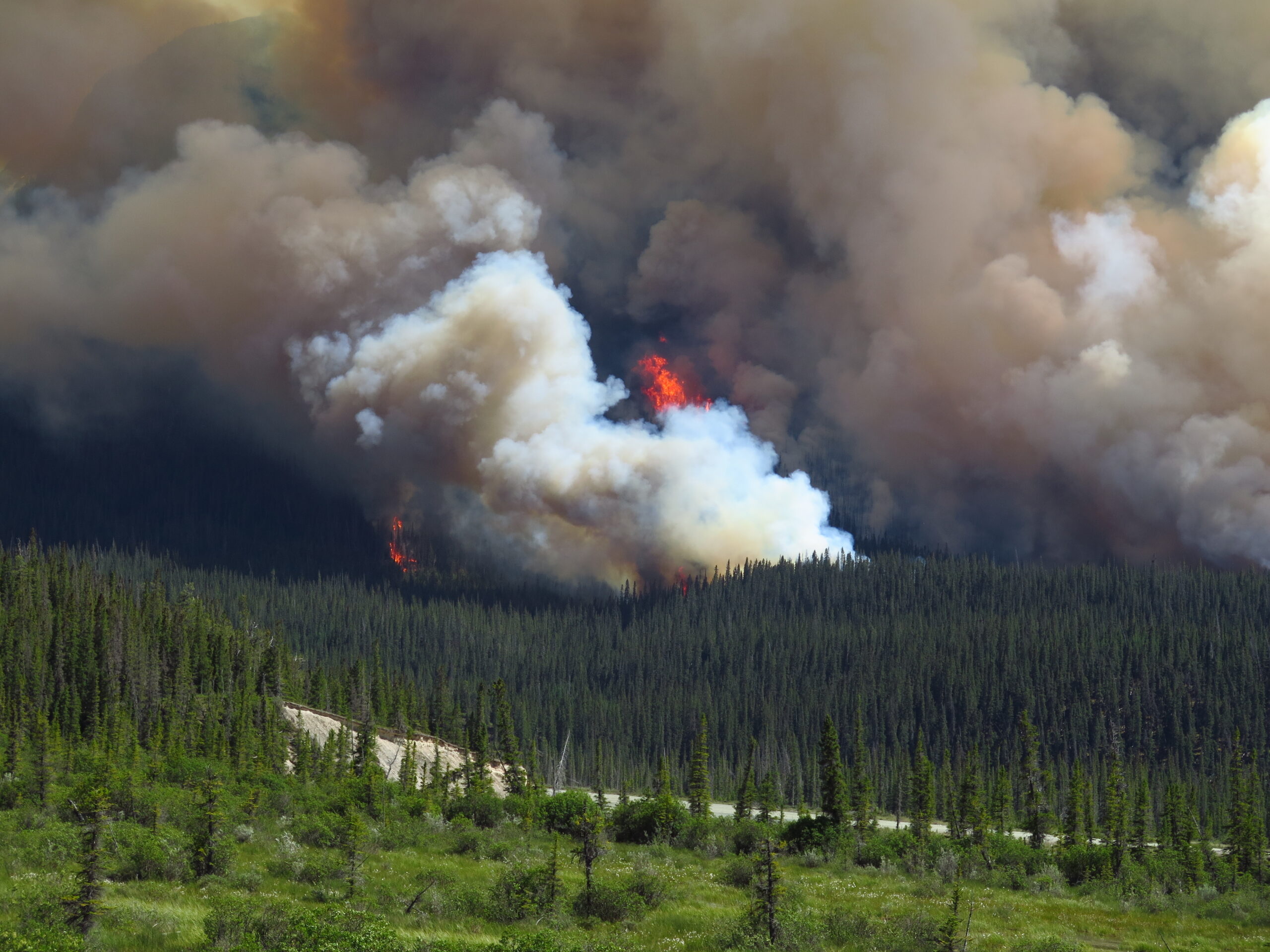 Alberta s urban interface program trains firefighters for