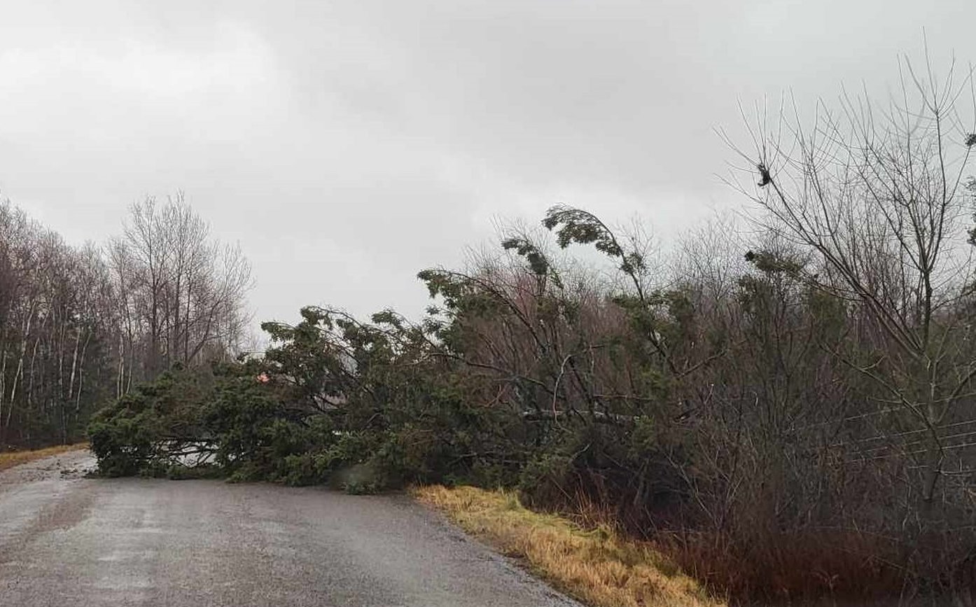 Mayor 'relieved' Sussex, N.B., Escaped Storm Without Major Flooding ...